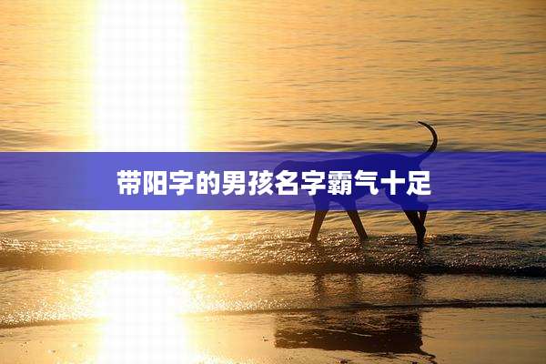 带阳字的男孩名字霸气十足
