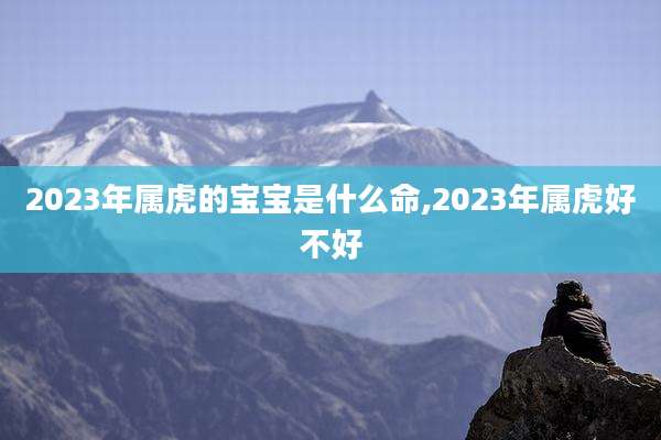 2023年属虎的宝宝是什么命,2023年属虎好不好