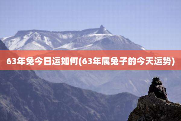 63年兔今日运如何(63年属兔子的今天运势)