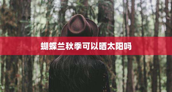 蝴蝶兰秋季可以晒太阳吗