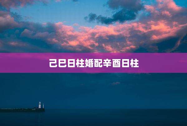 己巳日柱婚配辛酉日柱