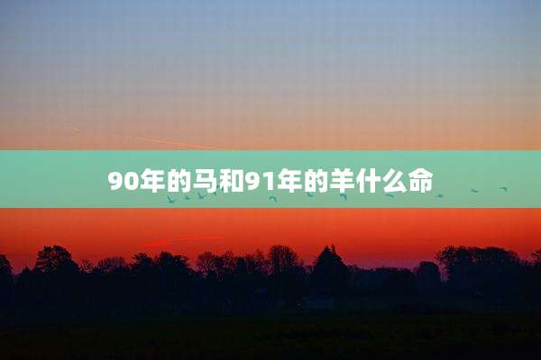 90年的马和91年的羊什么命