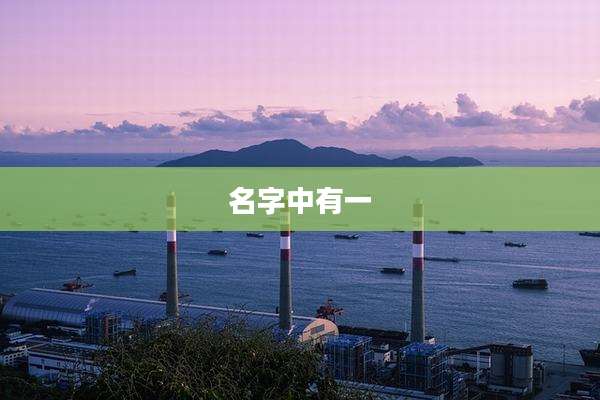 名字中有一