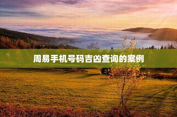 周易手机号码吉凶查询的案例