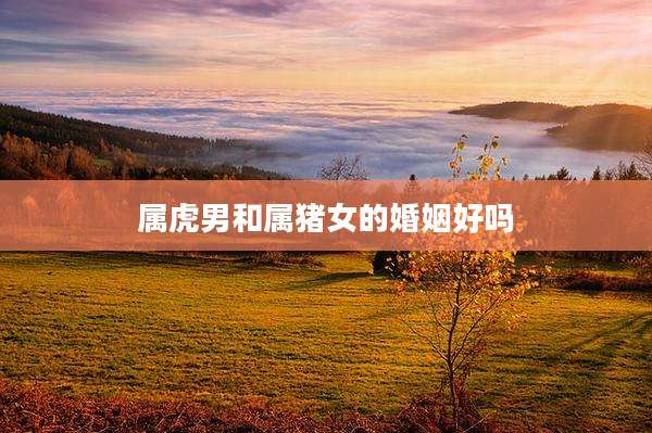 属虎男和属猪女的婚姻好吗
