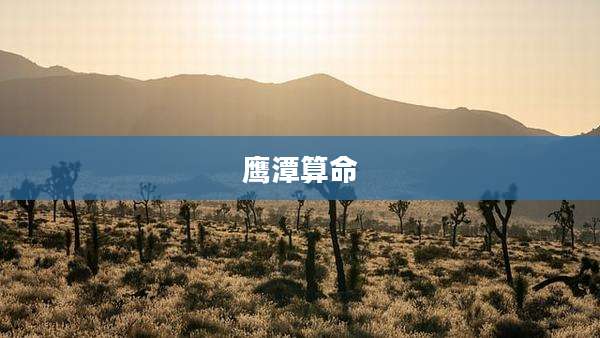 鹰潭算命