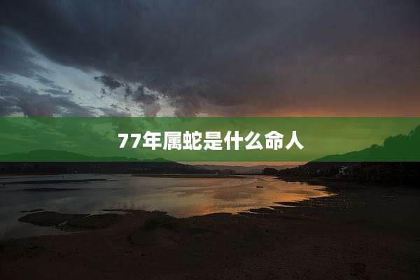 77年属蛇是什么命人