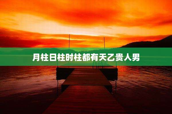 月柱日柱时柱都有天乙贵人男