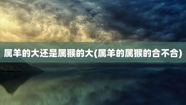 属羊的大还是属猴的大(属羊的属猴的合不合)