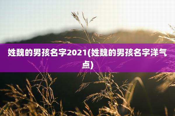 姓魏的男孩名字2021(姓魏的男孩名字洋气点)