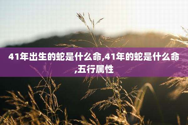 41年出生的蛇是什么命,41年的蛇是什么命,五行属性