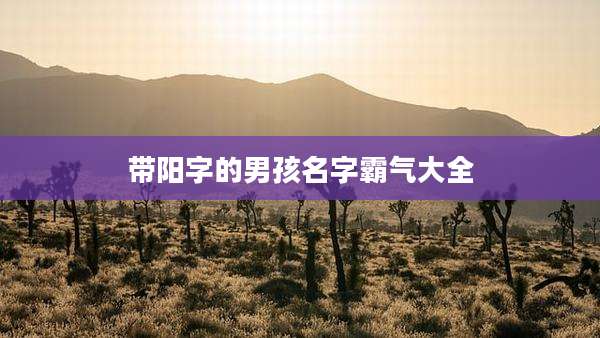 带阳字的男孩名字霸气大全