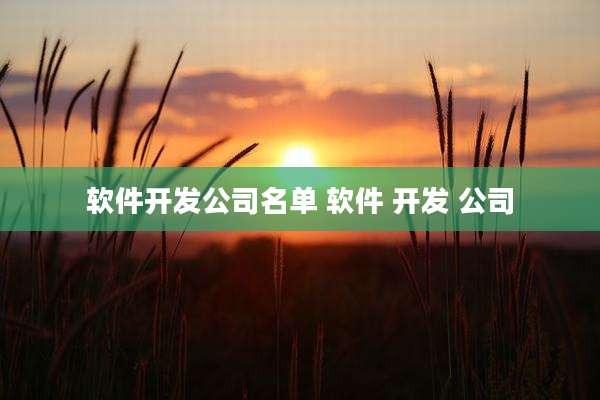 软件开发公司名单 软件 开发 公司