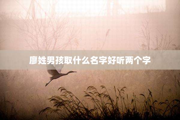 廖姓男孩取什么名字好听两个字