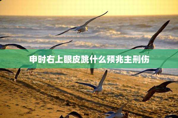 申时右上眼皮跳什么预兆主刑伤