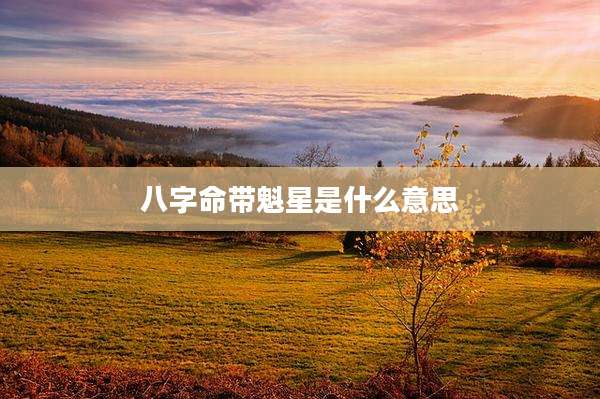 八字命带魁星是什么意思