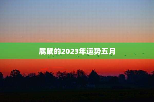 属鼠的2023年运势五月