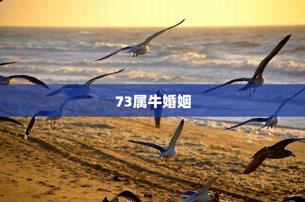 73属牛婚姻
