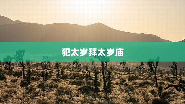 犯太岁拜太岁庙