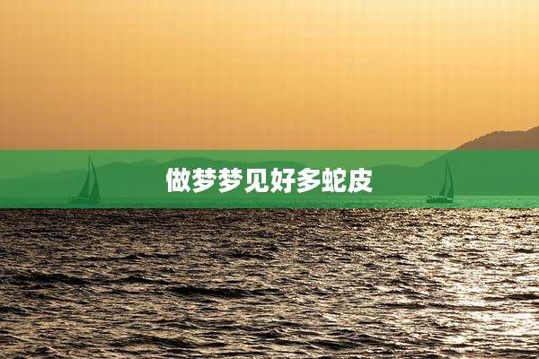 做梦梦见好多蛇皮