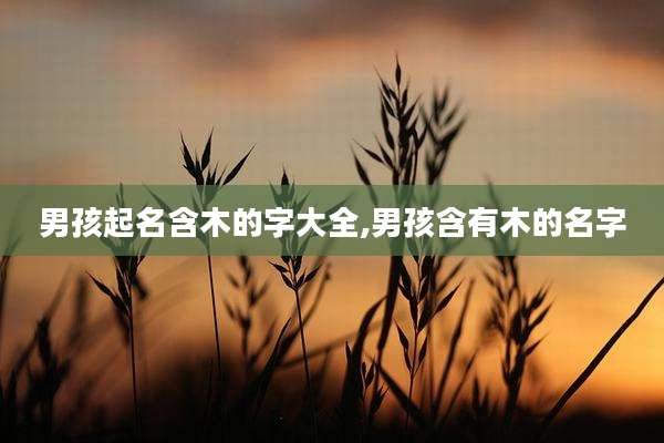 男孩起名含木的字大全,男孩含有木的名字
