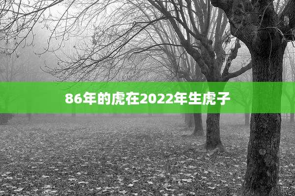86年的虎在2022年生虎子