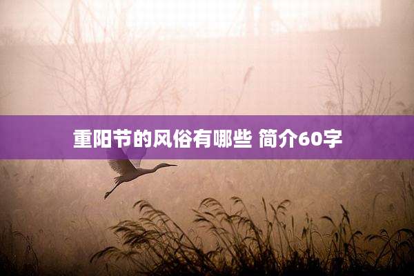 重阳节的风俗有哪些 简介60字