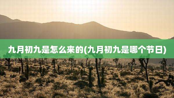 九月初九是怎么来的(九月初九是哪个节日)