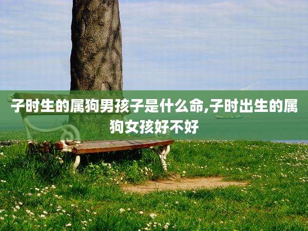 子时生的属狗男孩子是什么命,子时出生的属狗女孩好不好