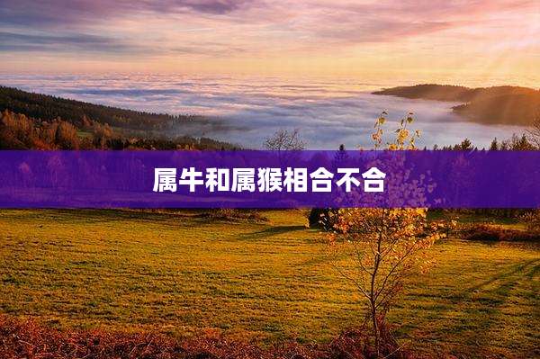 属牛和属猴相合不合