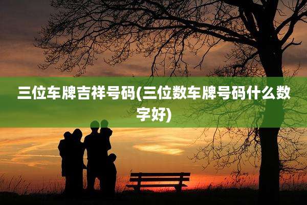 三位车牌吉祥号码(三位数车牌号码什么数字好)