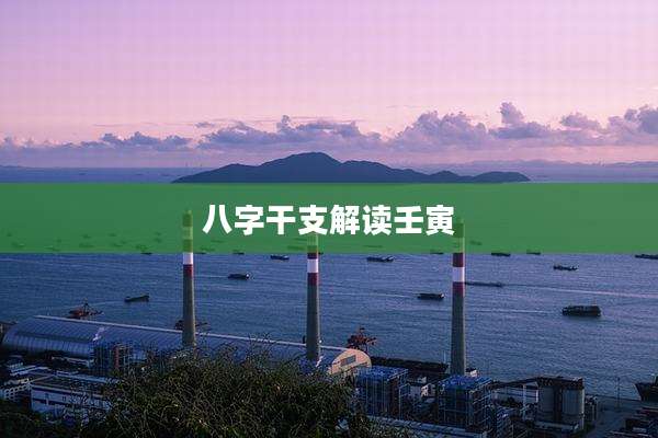 八字干支解读壬寅