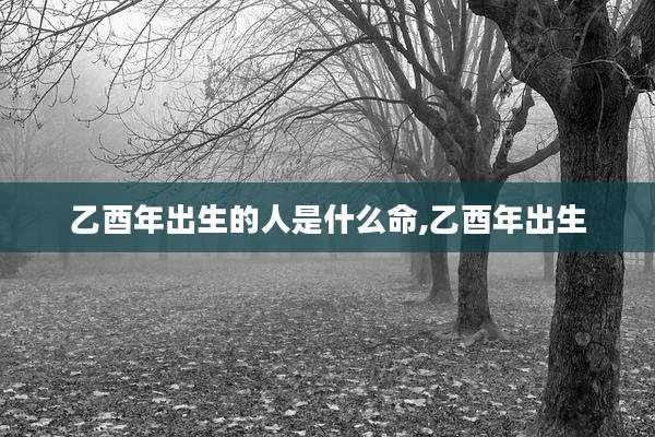 乙酉年出生的人是什么命,乙酉年出生