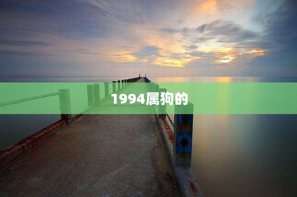 1994属狗的