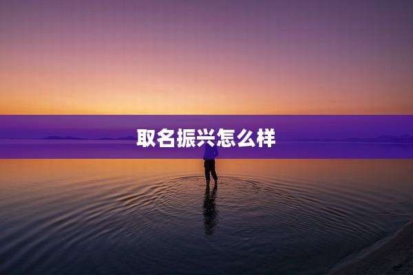 取名振兴怎么样