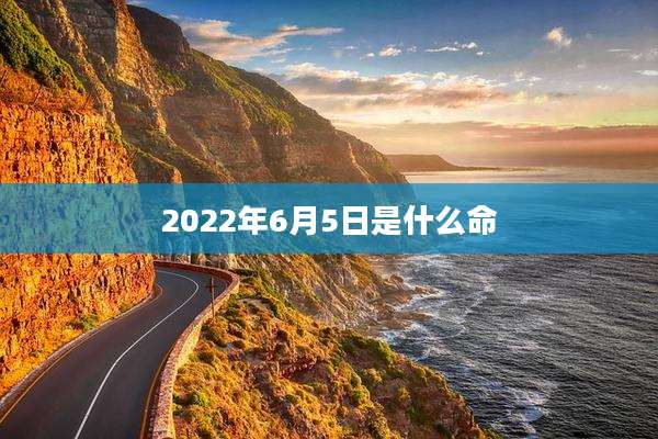 2022年6月5日是什么命