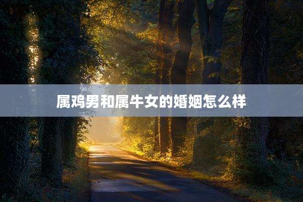属鸡男和属牛女的婚姻怎么样
