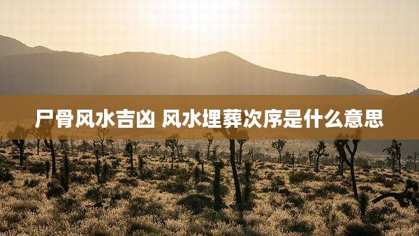 尸骨风水吉凶 风水埋葬次序是什么意思