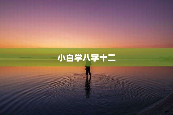 小白学八字十二