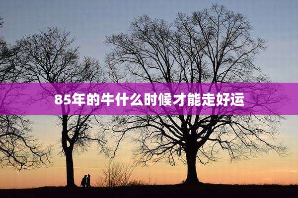 85年的牛什么时候才能走好运