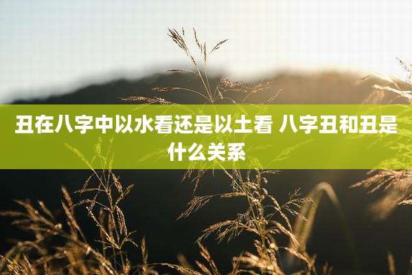 丑在八字中以水看还是以土看 八字丑和丑是什么关系