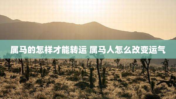 属马的怎样才能转运 属马人怎么改变运气