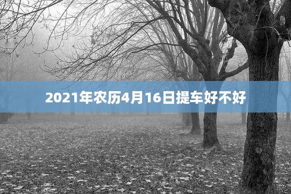 2021年农历4月16日提车好不好