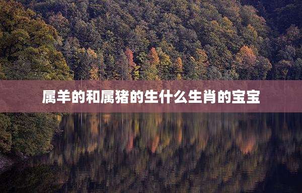 属羊的和属猪的生什么生肖的宝宝