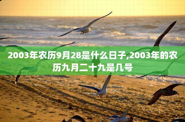 2003年农历9月28是什么日子,2003年的农历九月二十九是几号