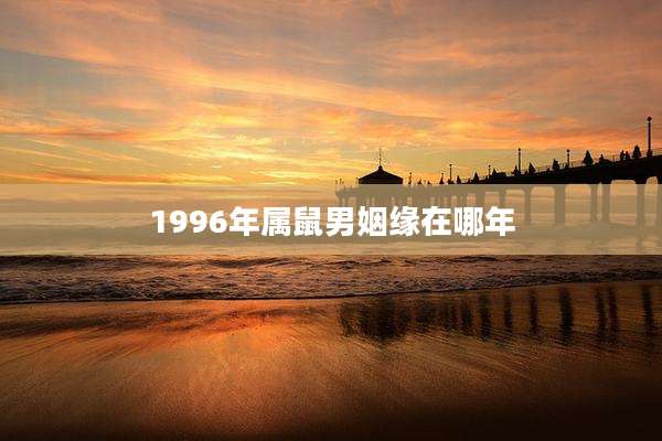 1996年属鼠男姻缘在哪年