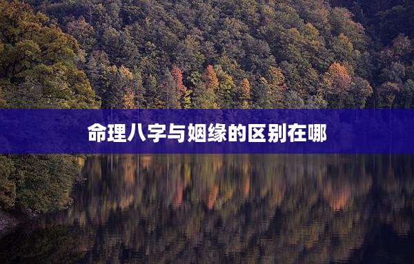 命理八字与姻缘的区别在哪