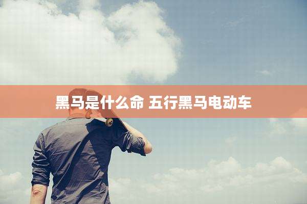 黑马是什么命 五行黑马电动车