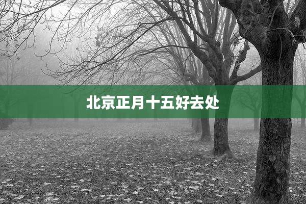 北京正月十五好去处
