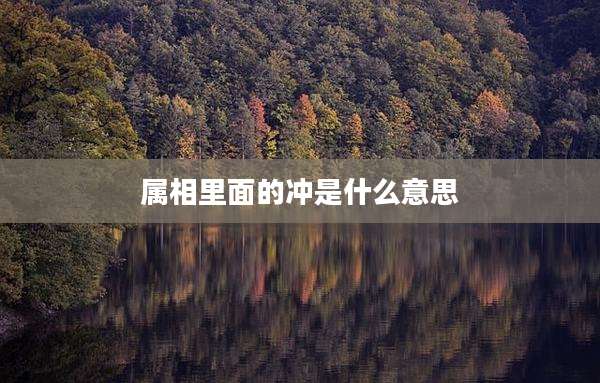 属相里面的冲是什么意思